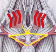 Aspose.Words.fbf612c8-6bb8-4553-8716-ee10c683c802.016.jpeg