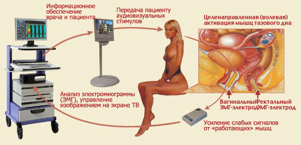 Aspose.Words.fbf612c8-6bb8-4553-8716-ee10c683c802.013.jpeg